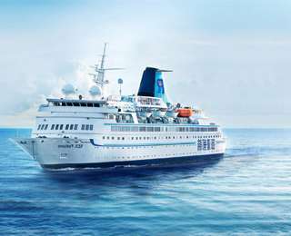Rex-Forune-Cruise.jpg