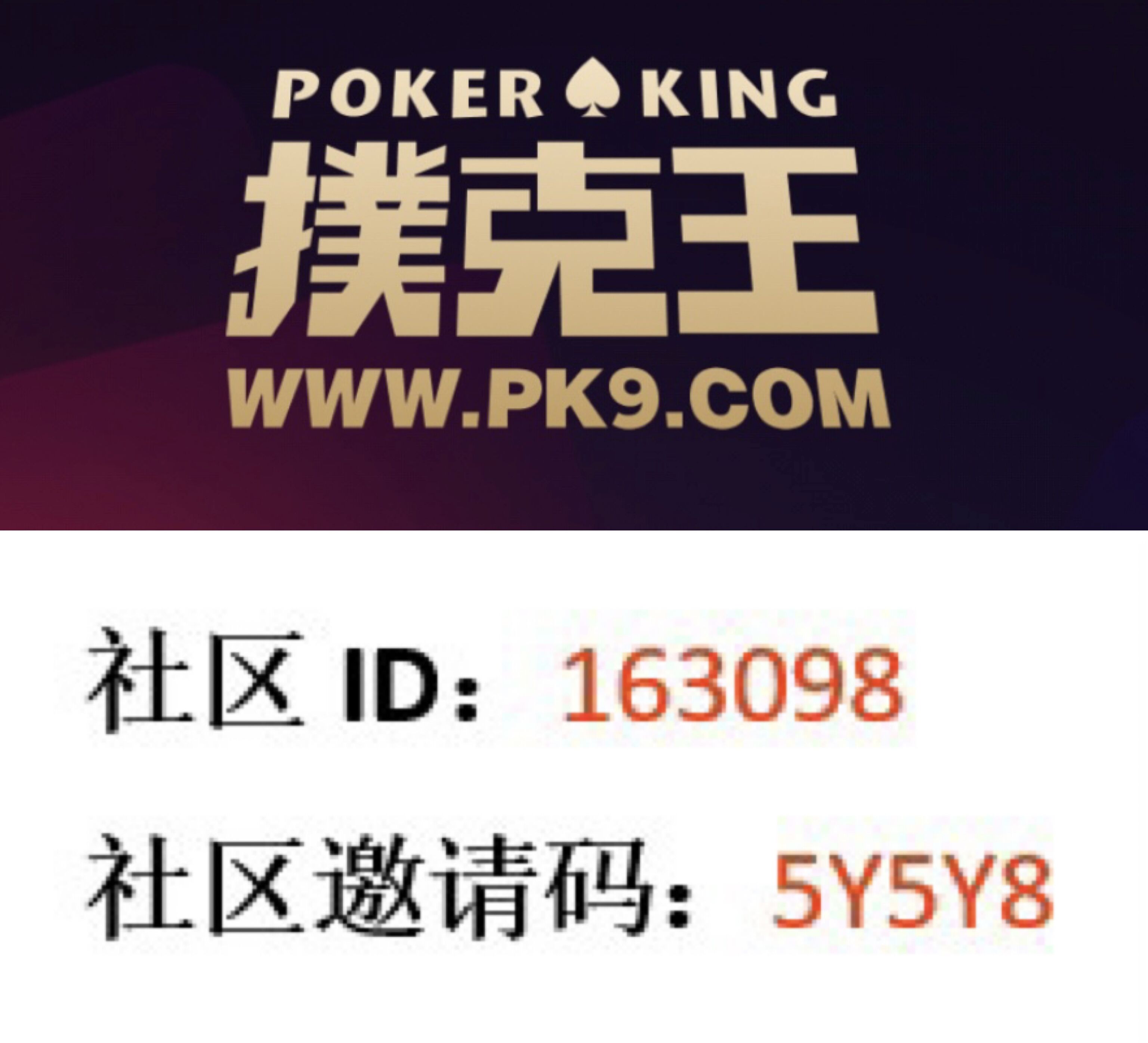 加入扑克王 | 智游城社区